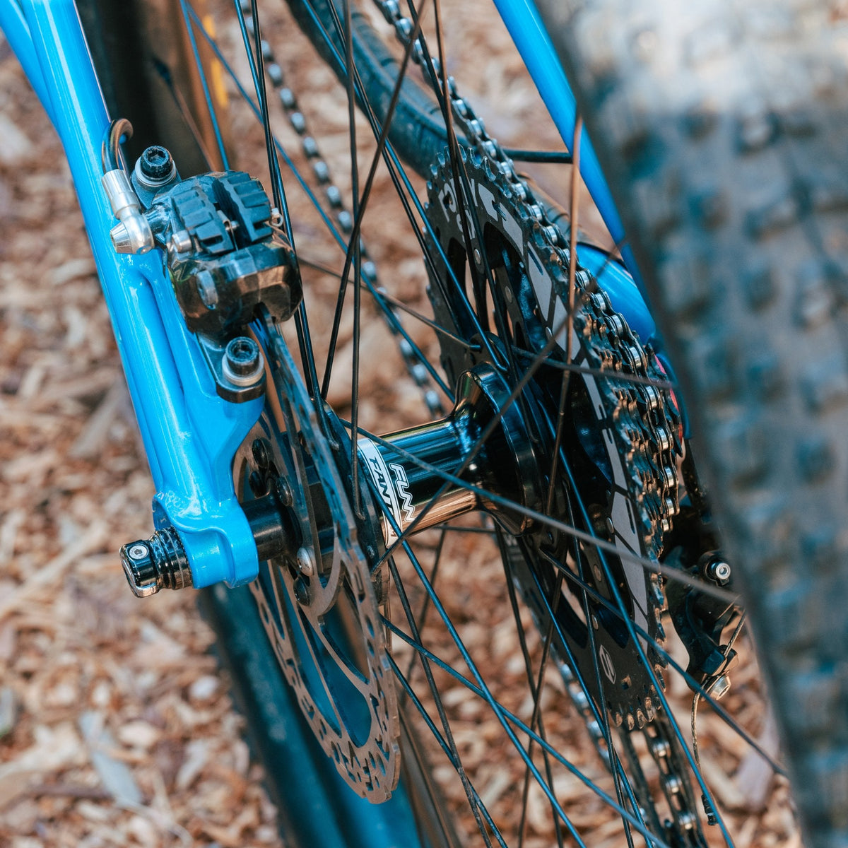 FUNN Fantom Rear Hub black alloy rear bike hub with disc brake rotor and cassette, mounted on blue mountain bike wheel outdoors