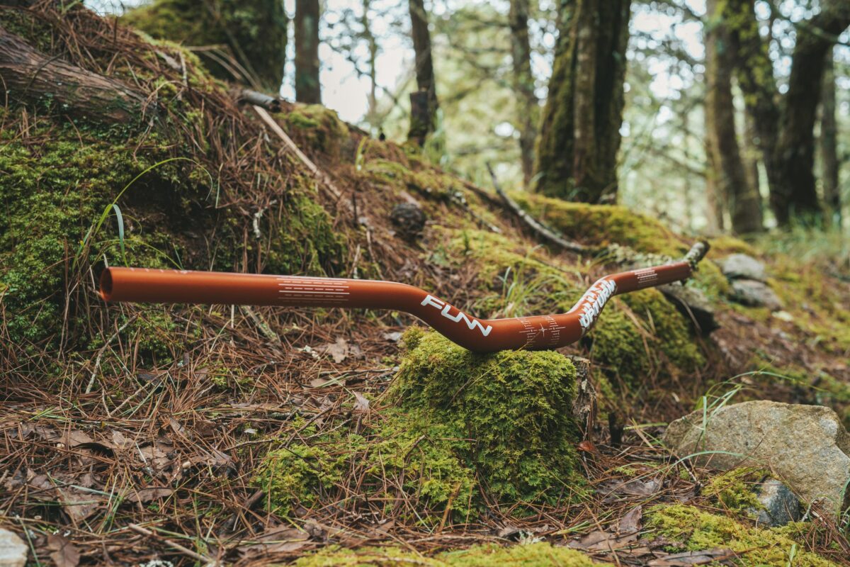A bike with a moss covered handlebar in the woods.